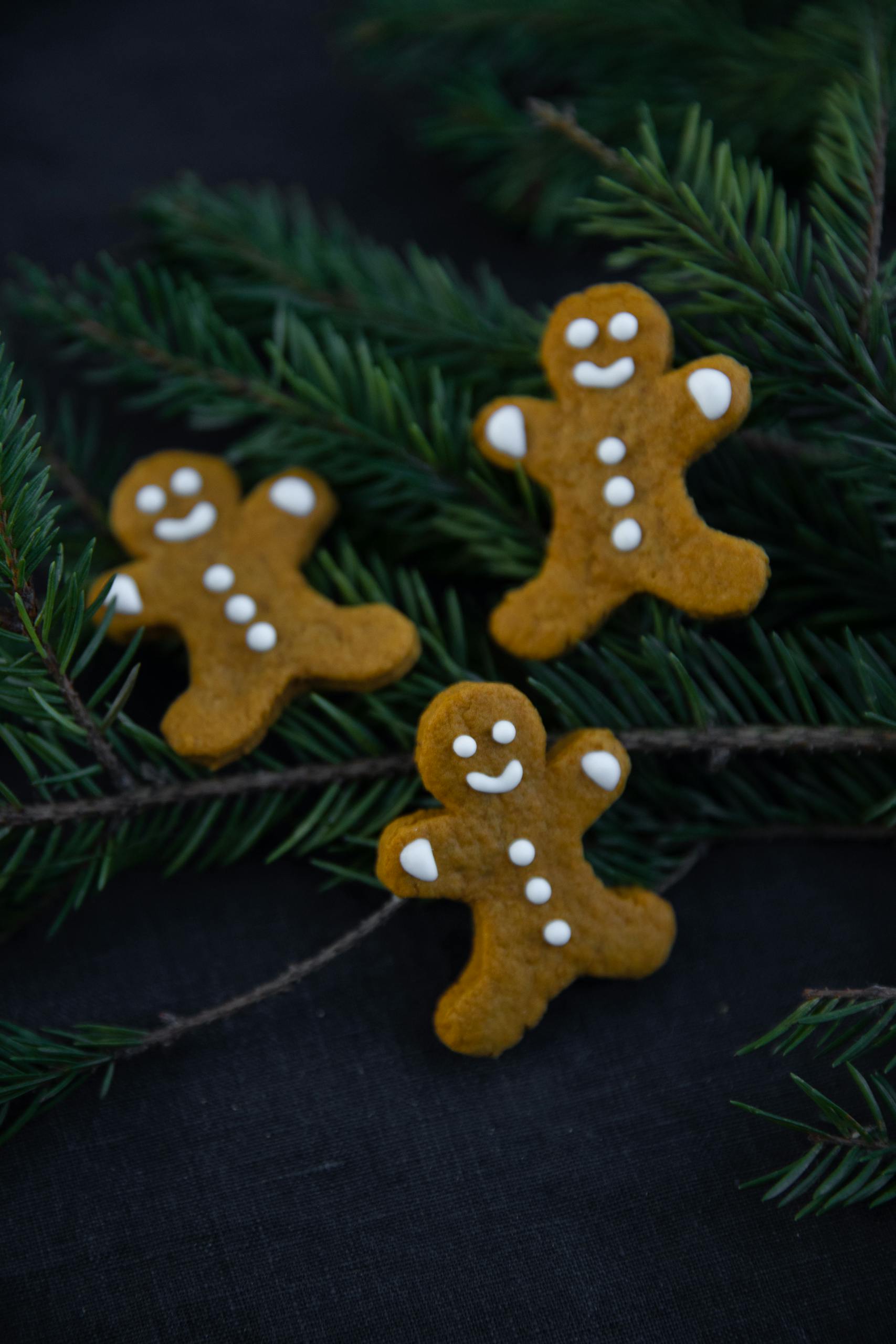 Gingerbread cookies arranged on pine branches, perfect for festive holiday themes.